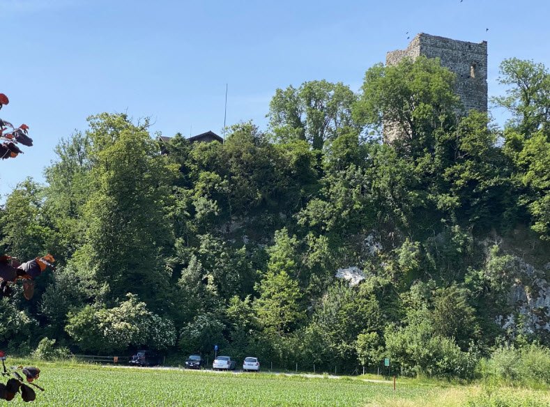 Schloss Blatten, Oberriet, Switzerland